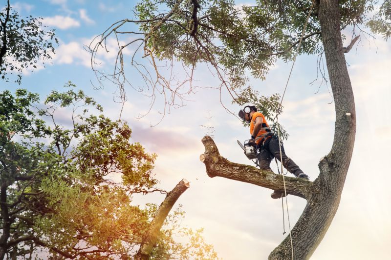 Arboricultural Service