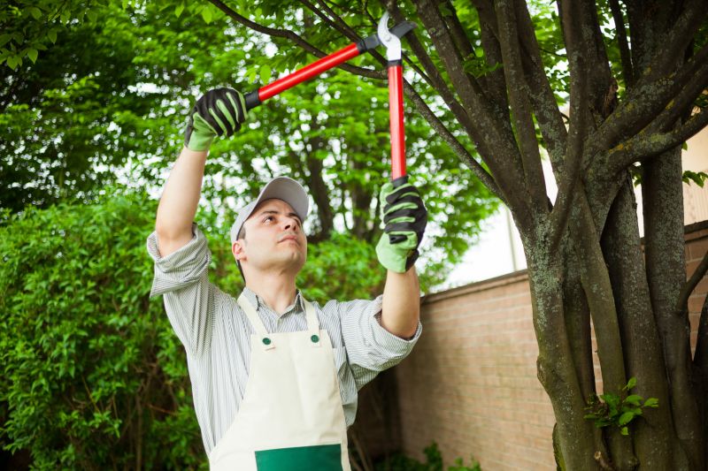 Arboricultural Service