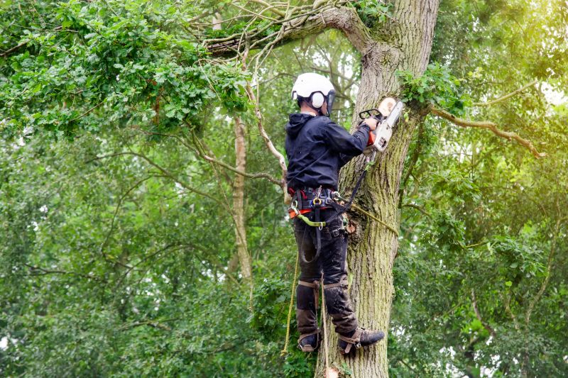 Seasonal Tree Services