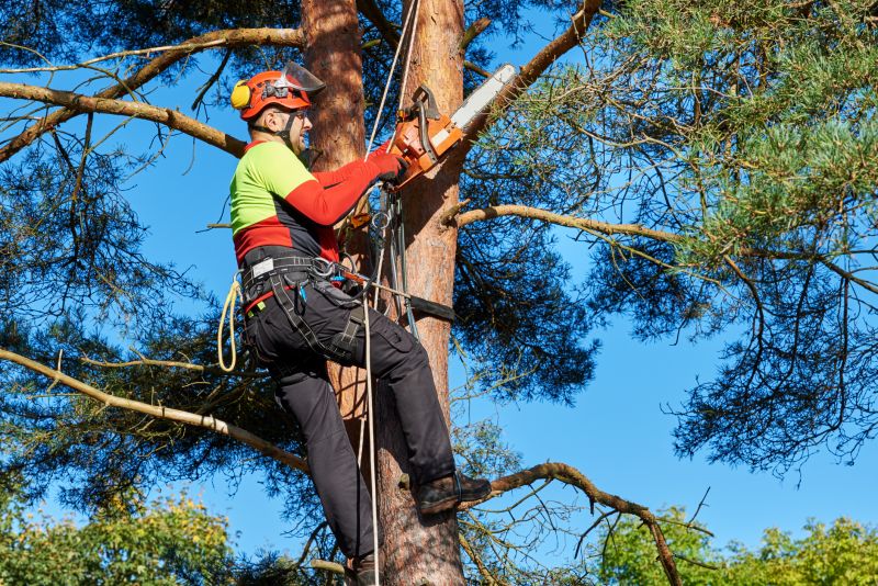 Arboricultural Service