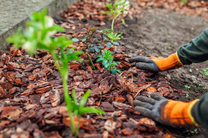 Black Mulch Installation in Ventura County, CA