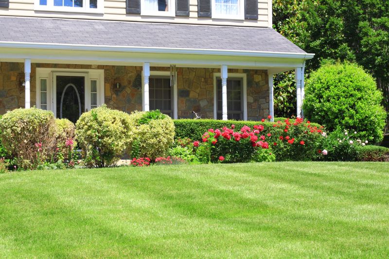 Dryscape Landscaping in Ventura County, CA