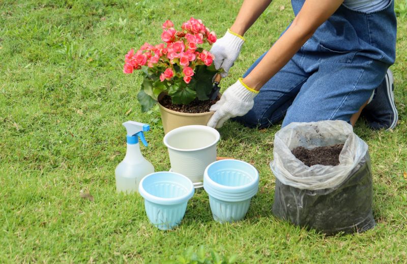 Garden Care Service in Ventura County, CA