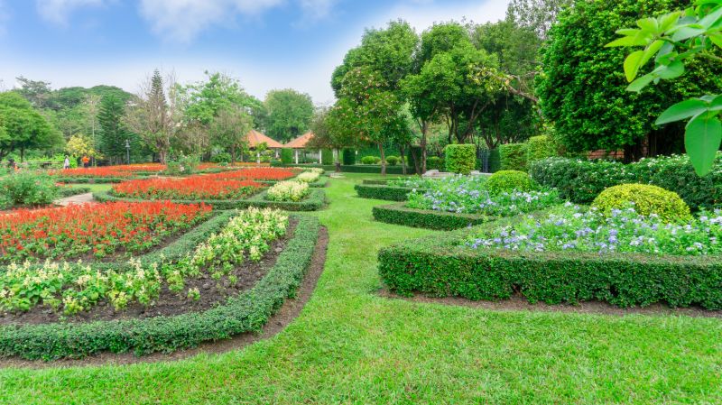 Hedge Installation in Ventura County, CA