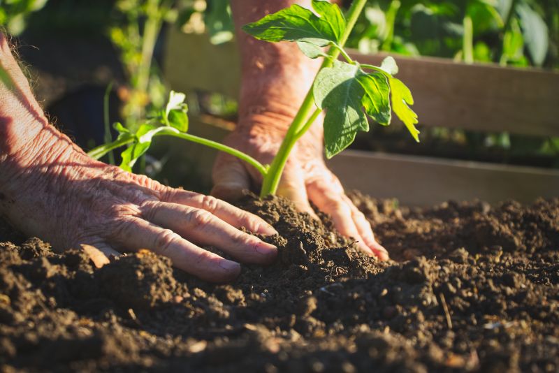 Home Gardening Service in Ventura County, CA