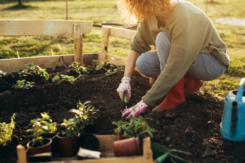 Perennials Planting in Honolulu, HI