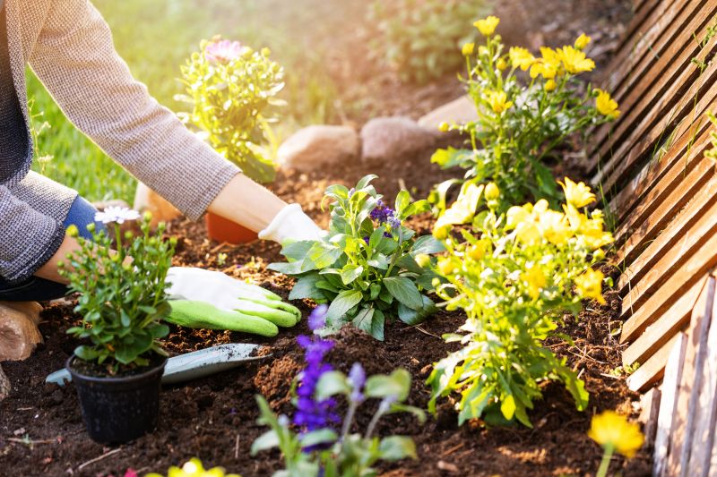 Perennials Planting in Honolulu, HI