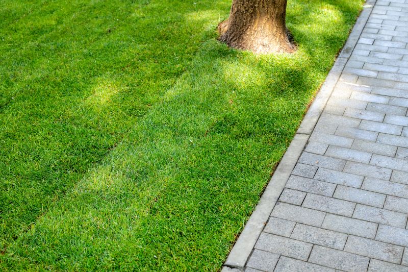 Pool Patio Landscaping in Ventura County, CA