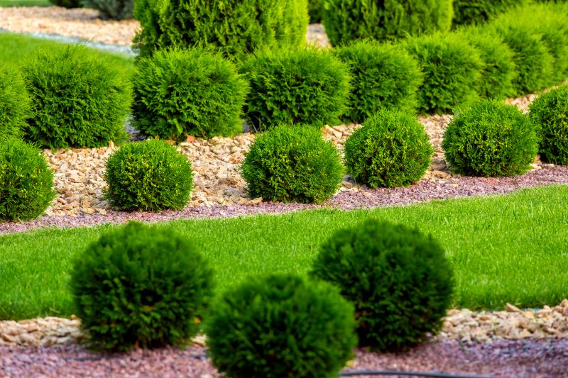 Shrub Installation in Honolulu, HI