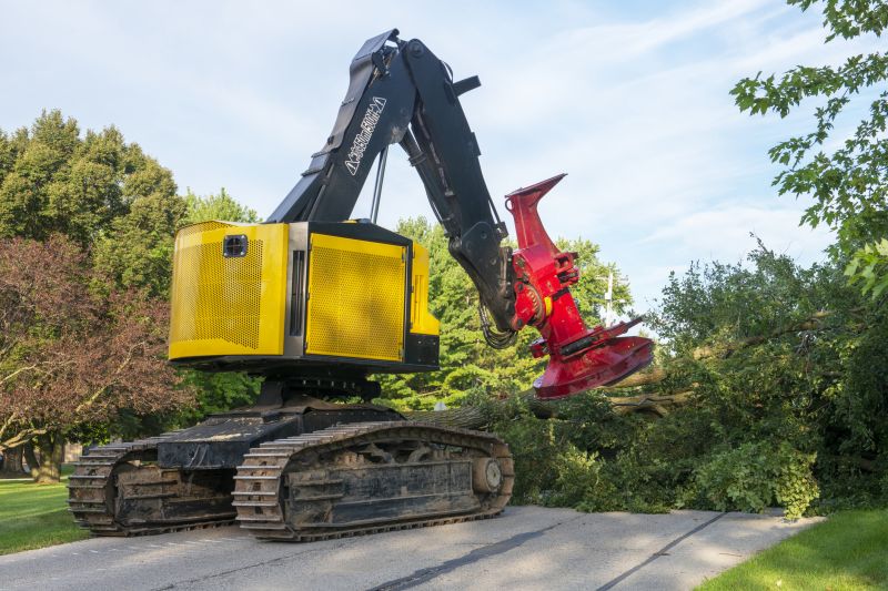 Equipment for Tree Removal