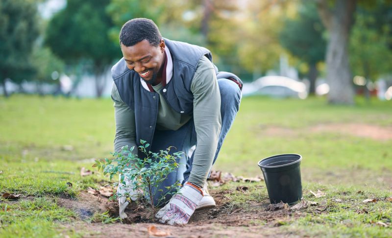 Flower Planting Service in Ventura County, CA